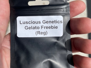 Sell: Luscious genetics original gelato freebies