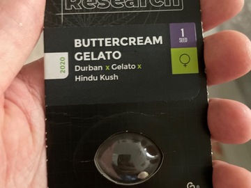 Sell: Sensi seeds buttercream gelato