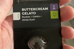 Sell: Sensi seeds buttercream gelato