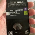 Sell: Sensi seeds buttercream gelato