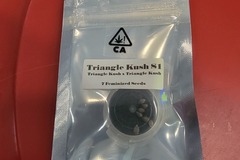 Venta: Triangle Kush S1 Humboldt csi