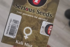 Venta: Kali mist by Serious seeds 6feminized sealed pack