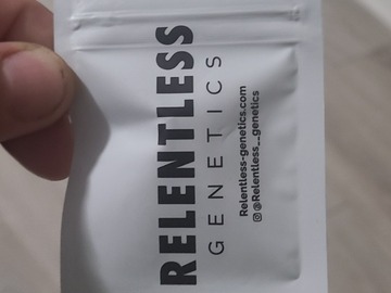 Sell: Relentless seeds 13+reg (Mendo breath x relentless OG)