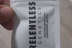 Sell: Relentless seeds 13+reg (Mendo breath x relentless OG)