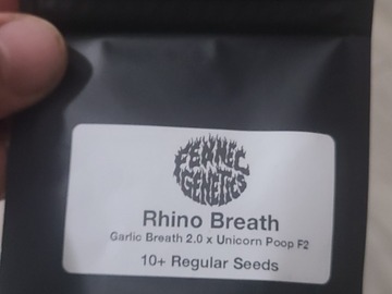 Sell: Rhino Breath by fennec genetics