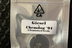 Venta: Chemdog '91 Crosses from CSI Humboldt