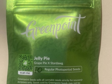 Sell: Jelly Pie (Grape Pie x Stardawg) - Greenpoint Seeds