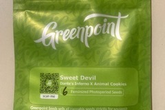 Sell: Sweet Devil (Dantes Inferno x Animal Cookies) - Greenpoint