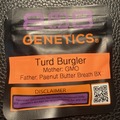 Sell: Turd Burglar (GMO x Peanut Butter  Breath BX) - 808