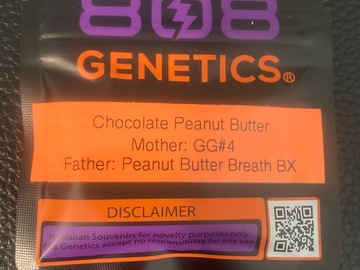 Sell: Chocolate Peanut Butter (GG4 x Peanut Butter BX) - 808