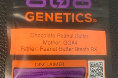 Sell: Chocolate Peanut Butter (GG4 x Peanut Butter BX) - 808