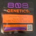 Sell: Chocolate Peanut Butter (GG4 x Peanut Butter BX) - 808