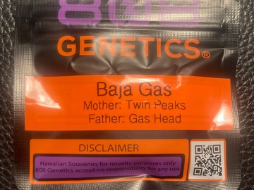 Sell: Baja Gas (Twin Peaks x Gas Head) - 808