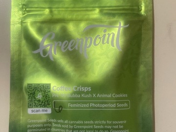 Sell: Coffee Crisps (Bubba Kush x Animal Cookies) - Greenpoint Seeds