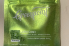 Sell: Coffee Crisps (Bubba Kush x Animal Cookies) - Greenpoint Seeds