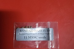 Sell: Bandaid haze ix doc d