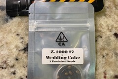 Sell: CSI HUMBOLDT - Z-1000 #7 x WEDDING CAKE
