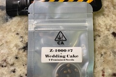 Venta: CSI HUMBOLDT - Z-1000 #7 x WEDDING CAKE