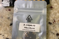 Sell: CSI HUMBOLDT - Z-1000 #7 x SHERBERT