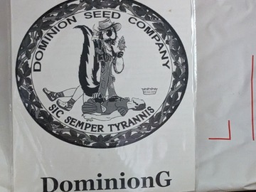 Sell: Dominion G (Capital G x Dominion Skunk) - Dominion Seed Co