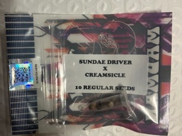 Subastas: (AUCTION) Sundae Driver x Creamsicle from Tiki Madman
