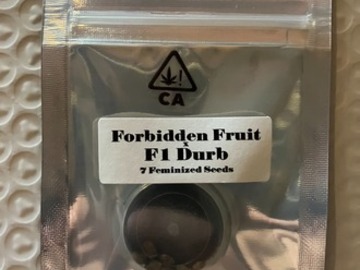 Subastas: (auction) Forbidden Fruit x F1 Durb from CSI Humboldt