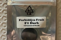 Auction: (auction) Forbidden Fruit x F1 Durb from CSI Humboldt