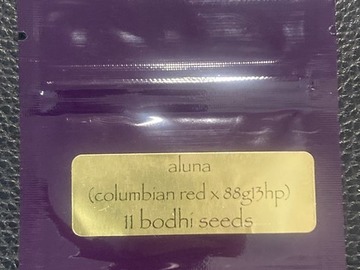 Venta: Aluna (Columbian Red x 88G13HP) - Bodhi Seeds