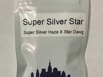 Auction: (AUCTION) Super Silver Star from Top Dawg