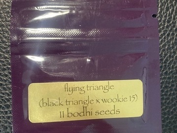 Venta: Flying Triangle (Black Triangle x Wookie 15) - Bodhi Seeds