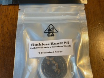 Venta: CSI HUMBOLDT - RUTHLESS RUNTZ S1