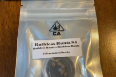 Vente: CSI HUMBOLDT - RUTHLESS RUNTZ S1