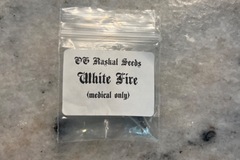 Sell: OG Raskal Seeds-WIFI