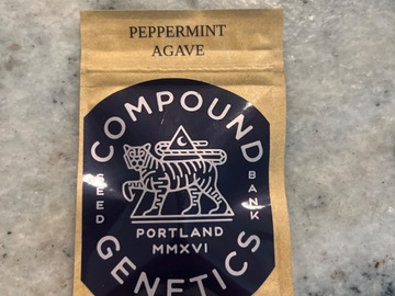 Sell: Compound Genetics-Peppermint Agave