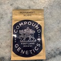 Vente: Compound Genetics-Peppermint Agave