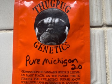 Vente: Thug pug-Pure Michigan 2.0