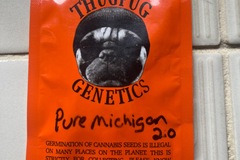 Venta: Thug pug-Pure Michigan 2.0