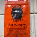 Sell: Thug pug-Pure Michigan 2.0