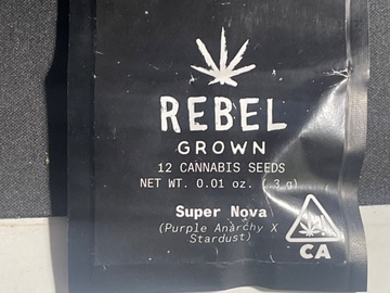 Vente: Rebel grown Super Nova (Purple Anarchy x Stardust)