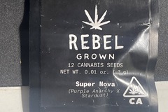Venta: Rebel grown Super Nova (Purple Anarchy x Stardust)