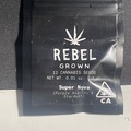 Sell: Rebel grown Super Nova (Purple Anarchy x Stardust)