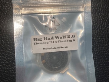 Sell: Big Bad Wolf 2.0 - CSI Humboldt