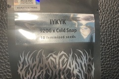 Vente: IYKYK (92 OG x Cold Snap) - Wyeast