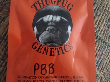Sell: Thug Pug- Peanut Butter Breath F1