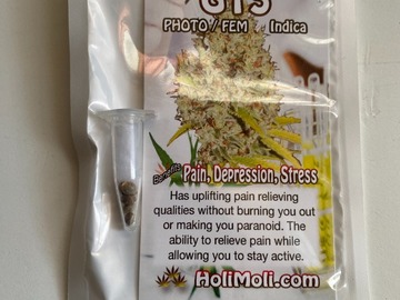 Venta: 9 FEMINIZED SEEDS HIGH VARIETY PACKAGE