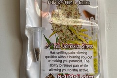 Sell: 9 FEMINIZED SEEDS HIGH VARIETY PACKAGE