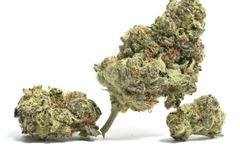 Venta: Lemon Skunk - 12 Regs