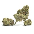 Venta: Lemon Skunk - 12 Regs