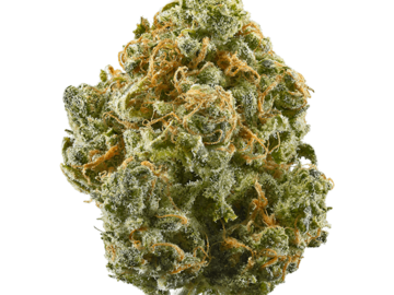 Vente: Blue Dream IBL - 12 Regs