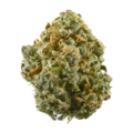 Vente: Blue Dream IBL - 12 Regs